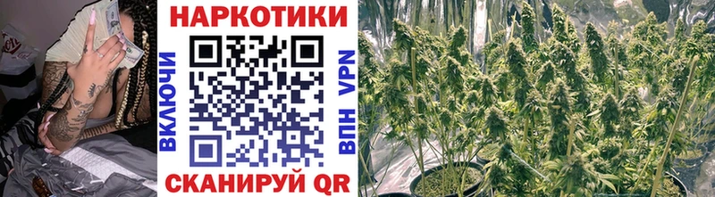 Магазин наркотиков Козьмодемьянск Марихуана  Меф мяу мяу  КОКАИН  ГАШ 